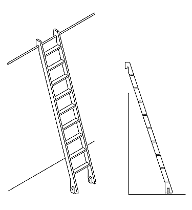 Library Ladder